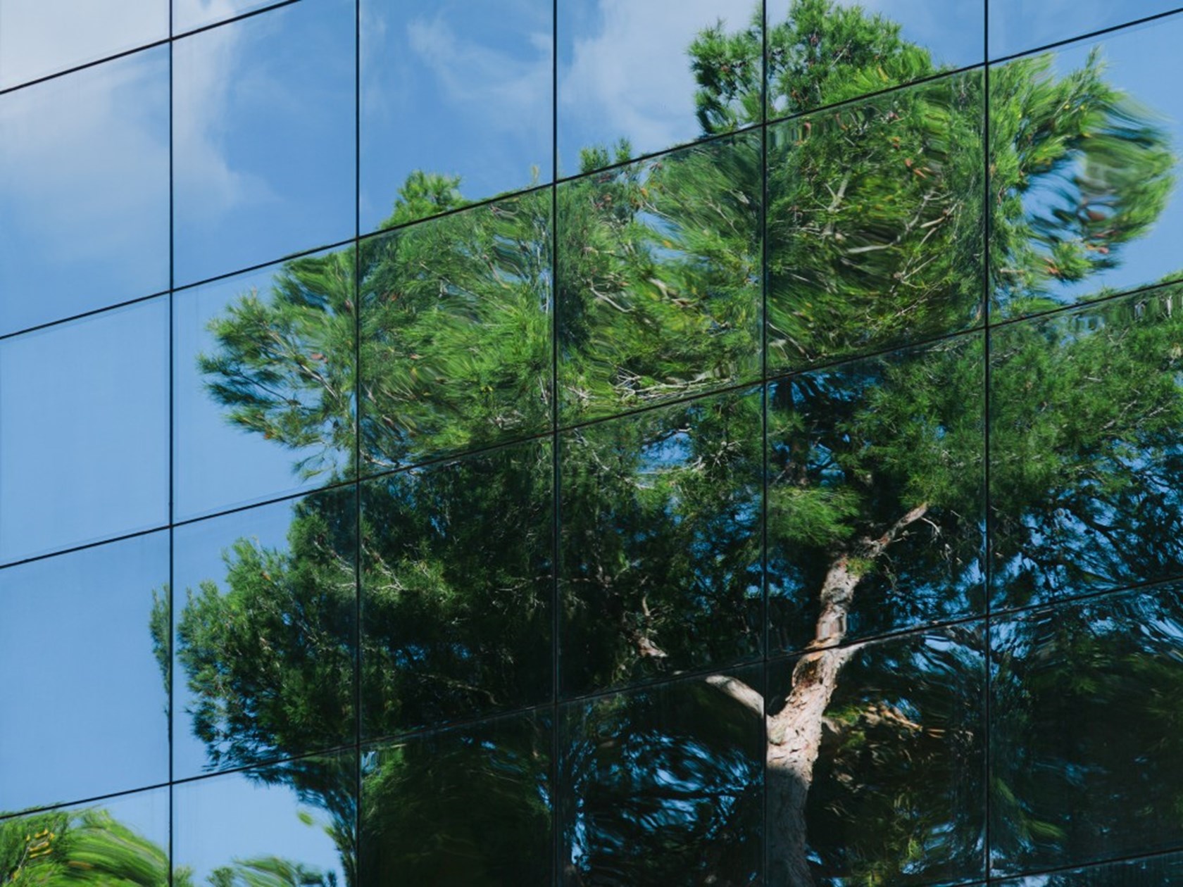 Quantifying sustainability – How to anchor a value-creation approach